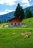 Chiemgau Bavaria Germany